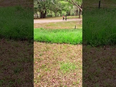 Инновационные технологии 100 Вт портативная солнечная панель для открытых приключений